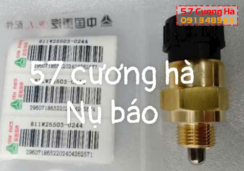 Nụ báo